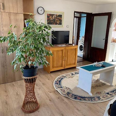 Micin Dom Apartment Pirot Exterior photo