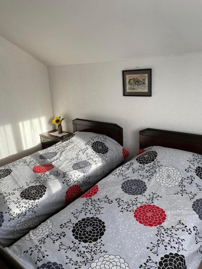 Micin Dom Apartment Pirot Exterior photo