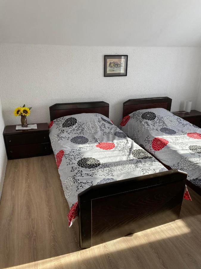Micin Dom Apartment Pirot Exterior photo